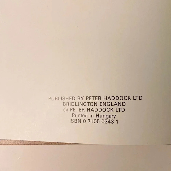 Vintage Rip Van Winkle Peter Haddock John Patience Once Upon a Story Time Series - Picture 7 of 12